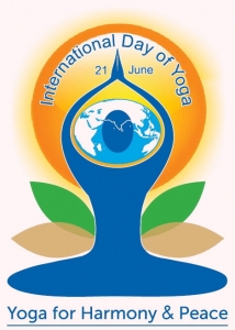 IYD-Logo-Embassy